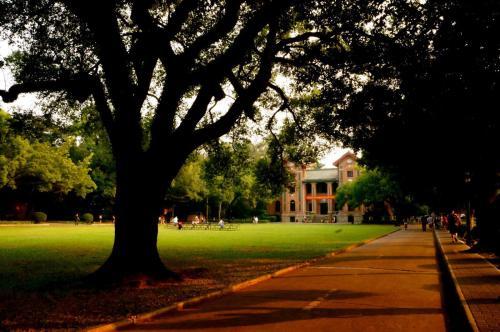 中山大学岭南学院位列全国十大商学院，有人竟然认为它是独立学院