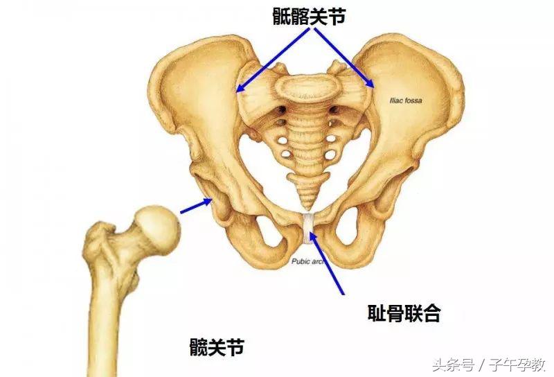 孕期坐久了屁股尾骨疼是怎么回事,孕妇久坐尾巴骨疼怎么回事