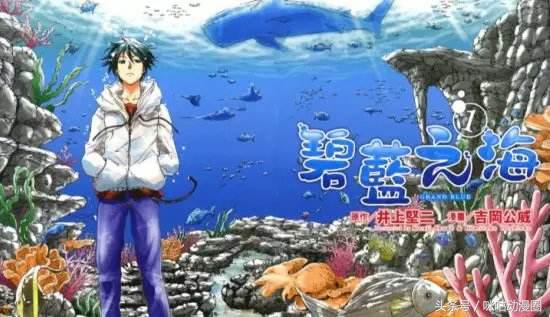 暑假追的番剧,暑期追番