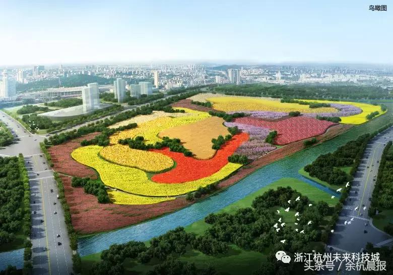 一大片向日葵花海视频,向日葵花海临平