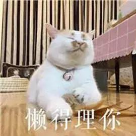 林允pick,林允推荐的美妆