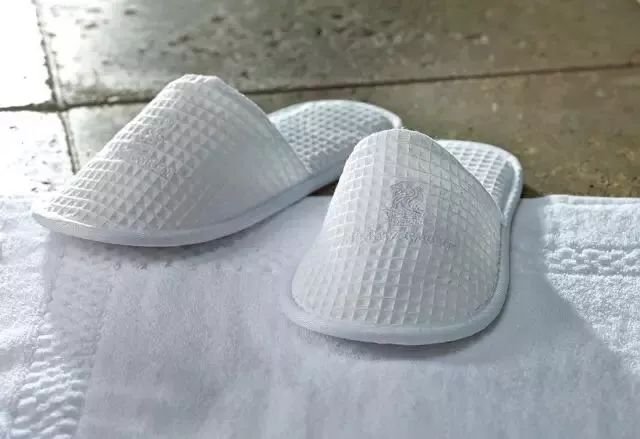 住酒店可以把哪些东西带回去,离开酒店行李可以寄存在酒店吗