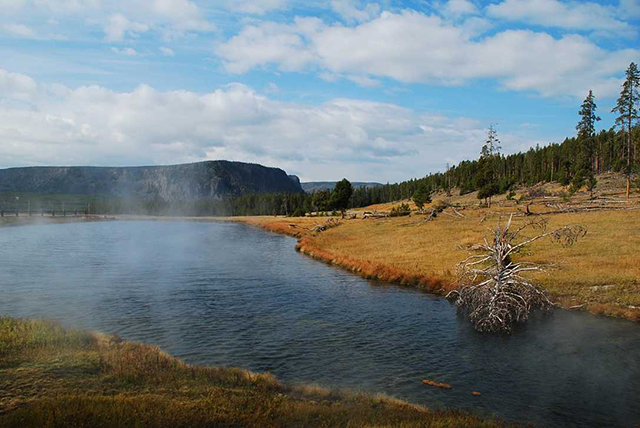 鳄龟是外来物种不能放生吗,鳄龟属于海鲜吗