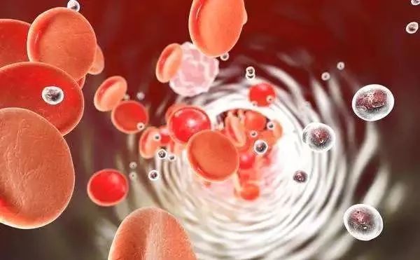 确诊白血病135天,确诊慢粒单核细胞白血病