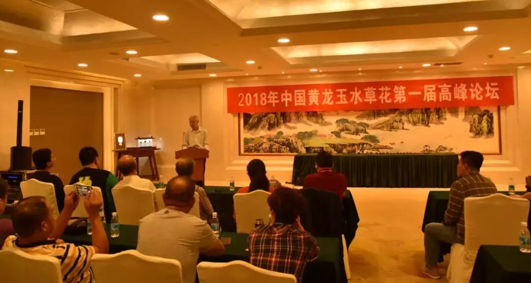 黄龙玉水草花亮点,顶级黄龙玉水草花