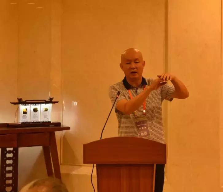 黄龙玉水草花亮点,顶级黄龙玉水草花