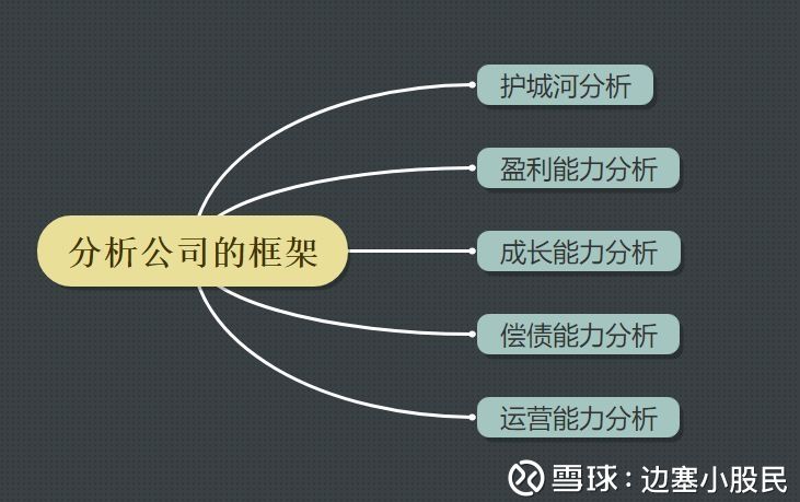 如何看懂一家公司的概述,怎么样算是读懂一家公司