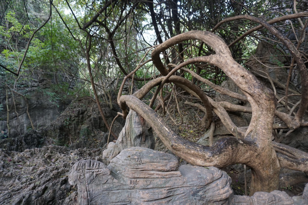 多彩贵州行——黄果树风景区之灵魂玲珑秀美“天星桥”