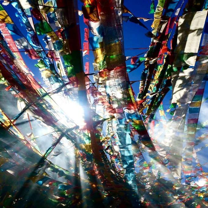 *藏西**，我历经十里桃花劫，只为寻心之所往