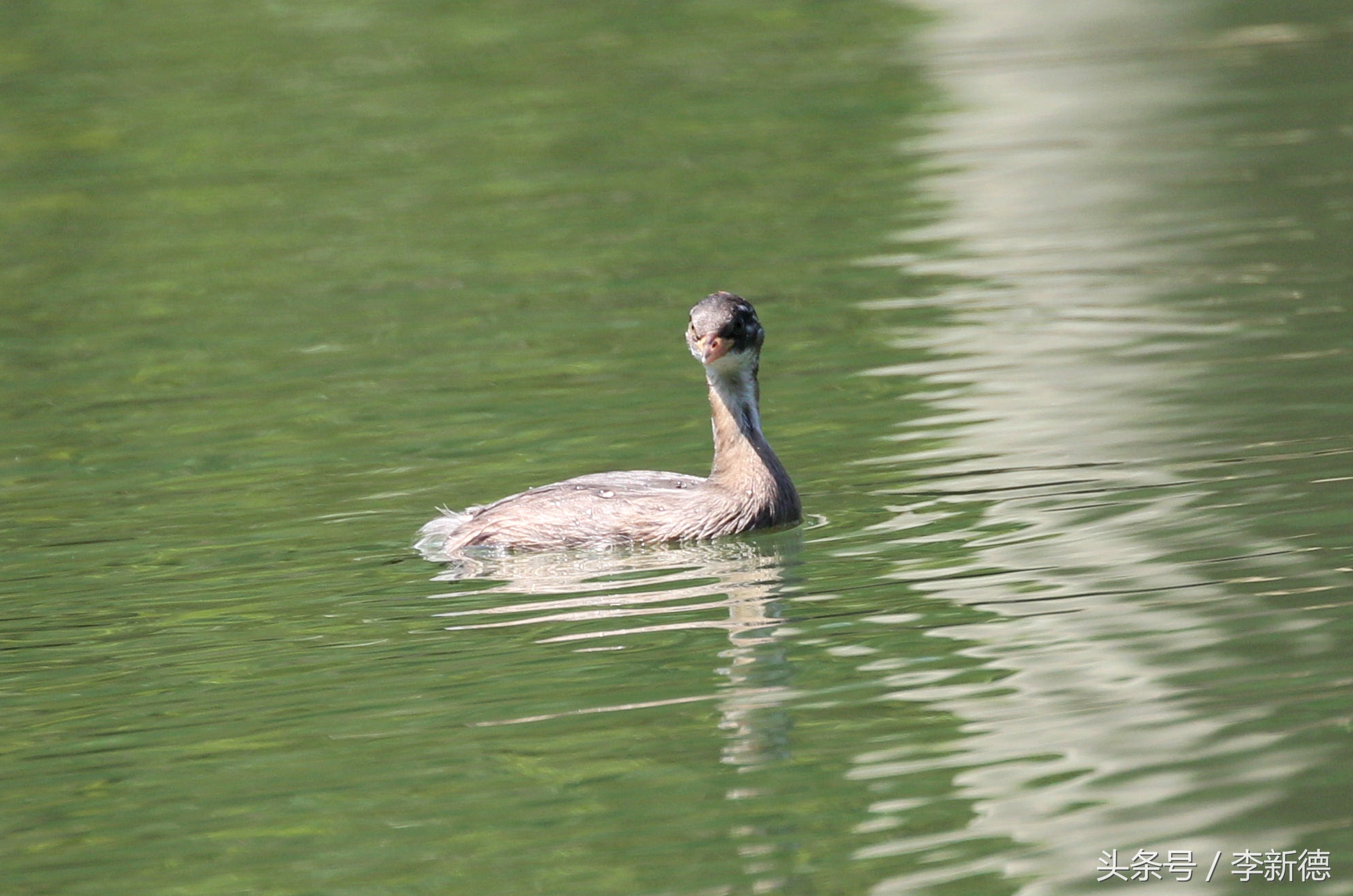 佳能5d3配24105镜头拍人像,佳能5d3501.8镜头拍合照