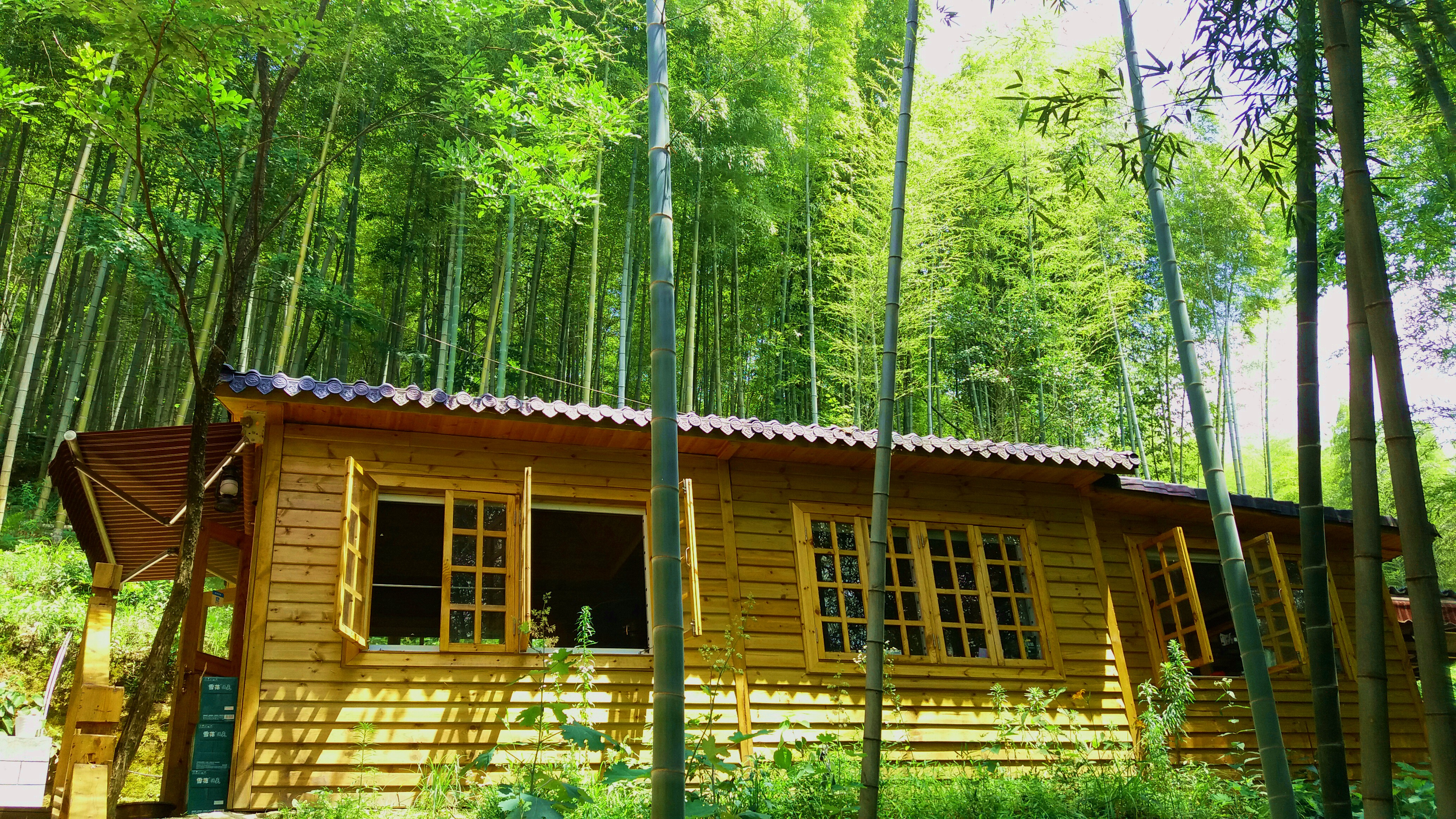 武汉周边避暑景点推荐,武汉夏天避暑旅游攻略