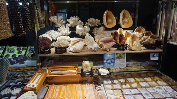 一个人的旅行由风决定,一个人的旅行头像