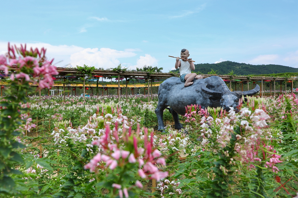 暑假带孩子逛公园,带孩子玩跳楼