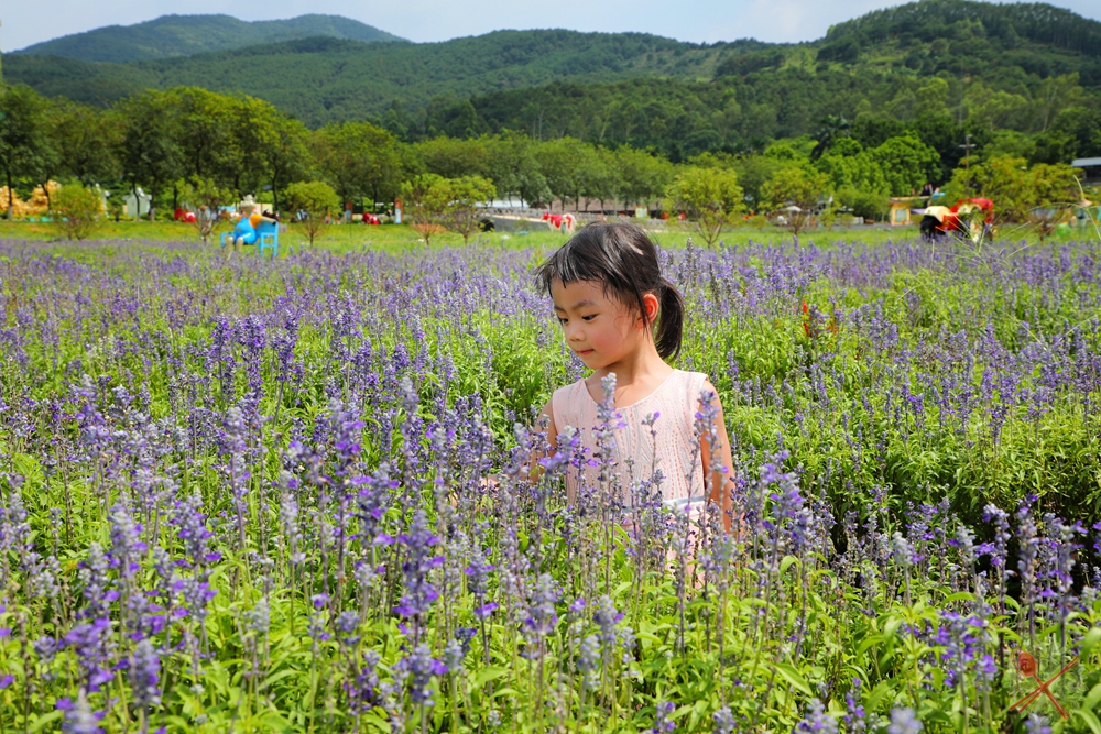 暑假带孩子逛公园,带孩子玩跳楼