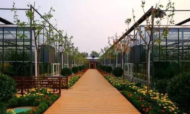 你还在用智能温室种菜,他们却用它搞起了亲子乐园,而且全年无淡