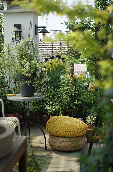 39岁，她不安分得很漂亮天台折腾两年，随后发出的照片，惊艳了所有人