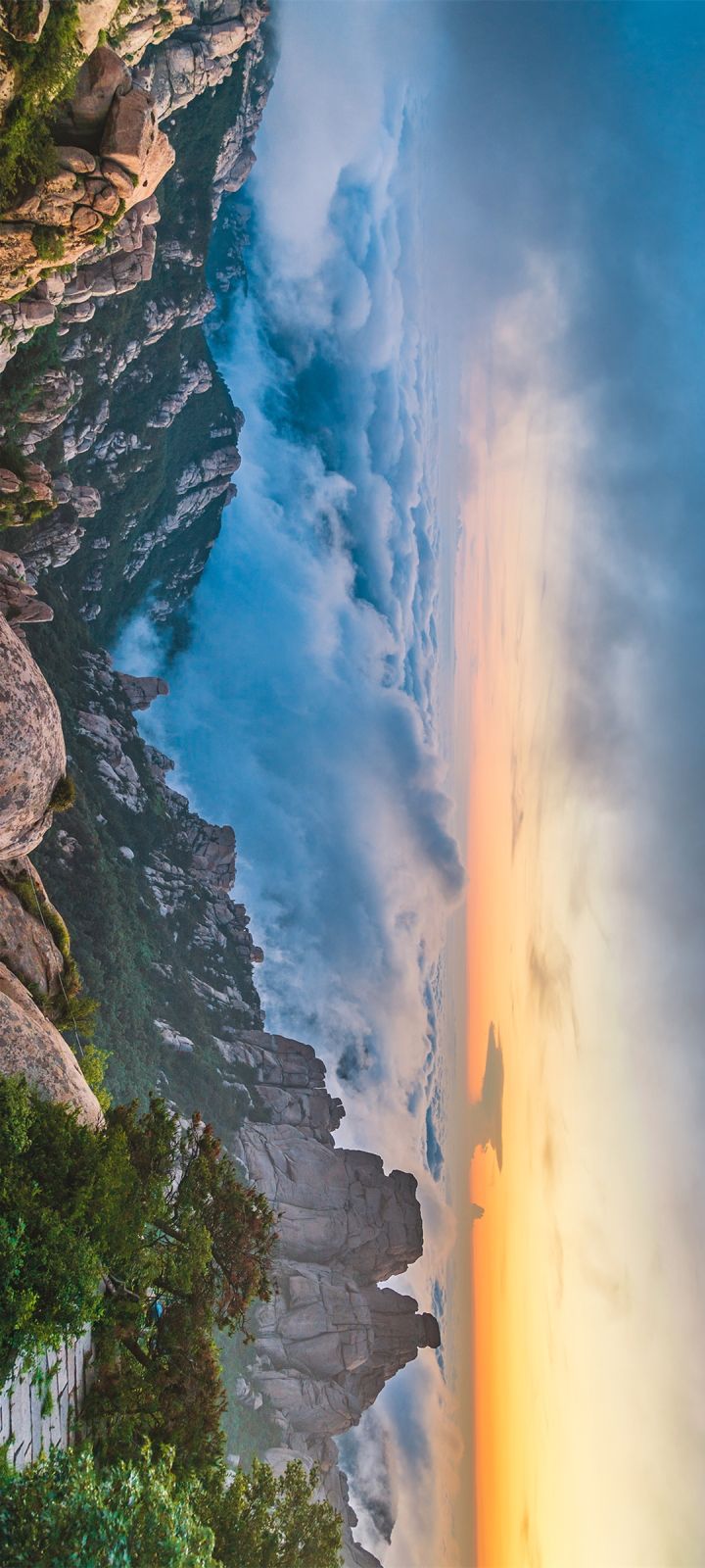 青岛是一个怎么样的地方,青岛是一座什么样的城市