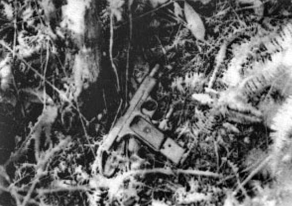 中国大案纪实全集老版,1983大案纪实全集