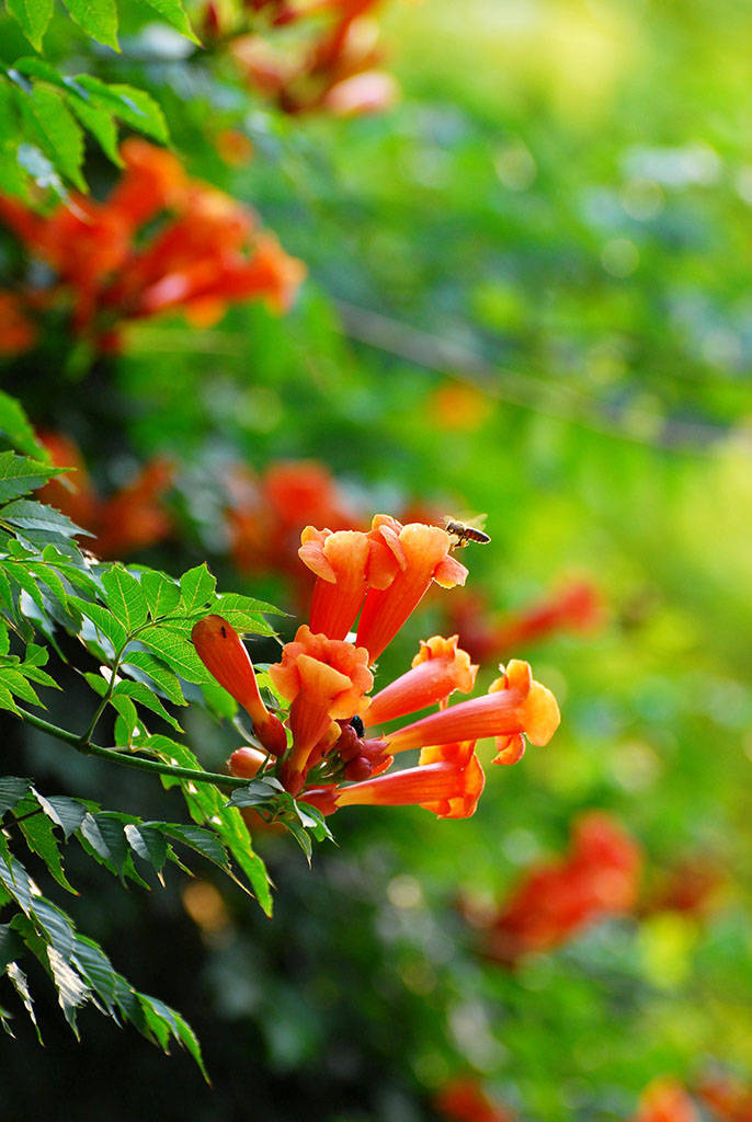 如果小人避不开，请务必做到这3点，你将受益很多！