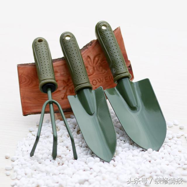 为什么水养吊兰根粗叶黄,吊兰冬天叶黄和干怎么回事