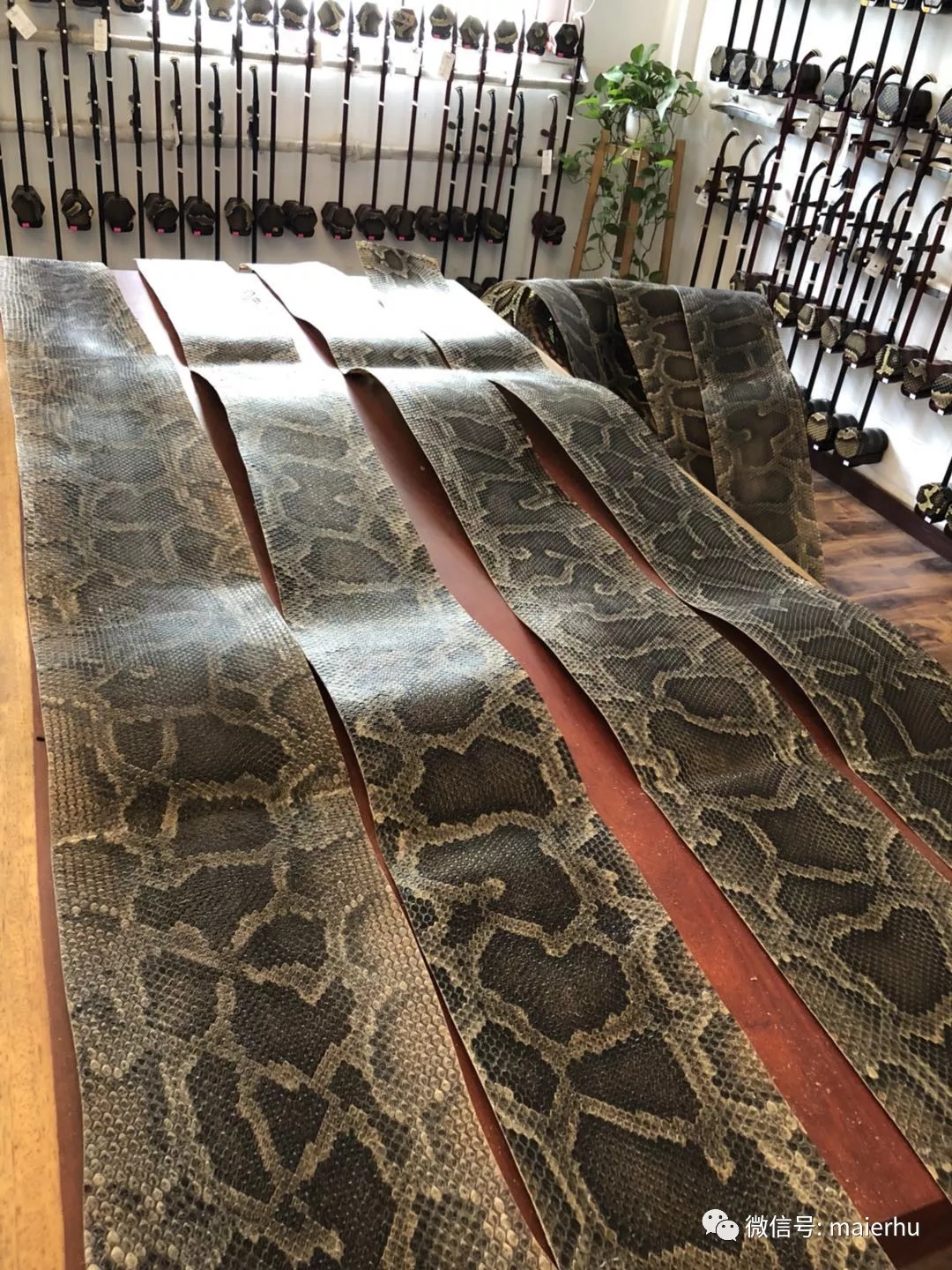 二胡的琴皮选择,二胡琴皮是粗鳞好还是细好