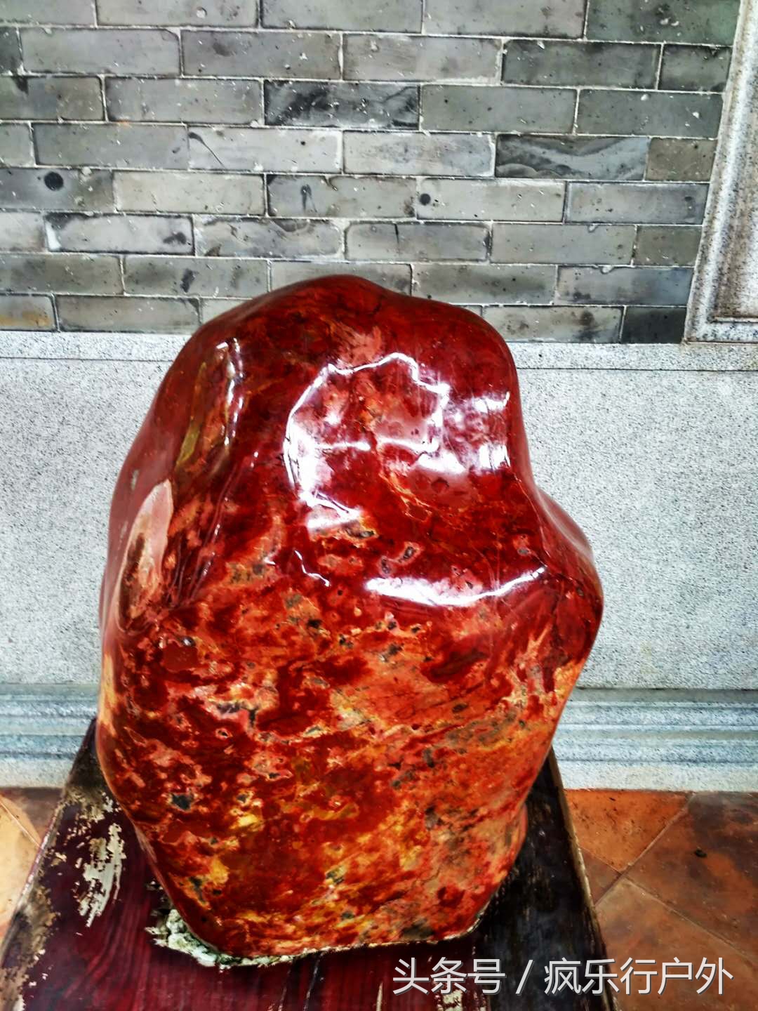 最真实的岭南园林,岭南著名园林