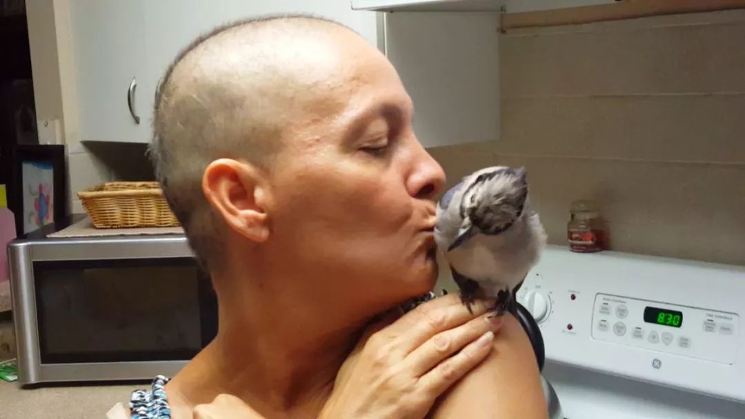 万物皆有灵救了蛇王一命,万物皆有灵救了一只狼崽