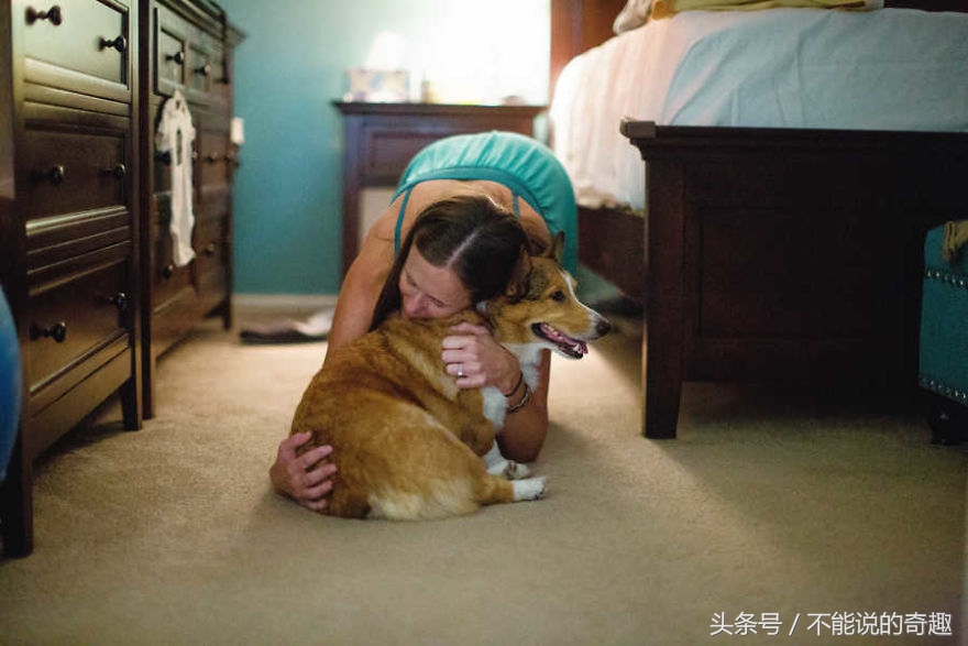 可能你不会知道你家里的这些“家人”是如此的深爱着自己