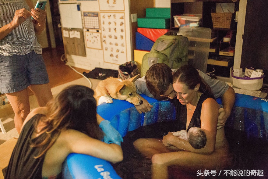 可能你不会知道你家里的这些“家人”是如此的深爱着自己