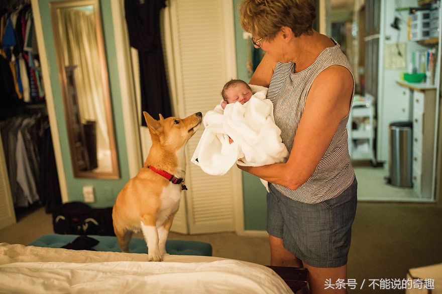 可能你不会知道你家里的这些“家人”是如此的深爱着自己