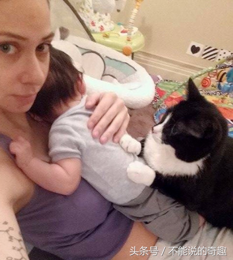 可能你不会知道你家里的这些“家人”是如此的深爱着自己