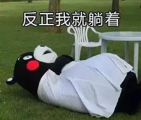 这届世界杯你们亏了多少,世界杯你们输了多少