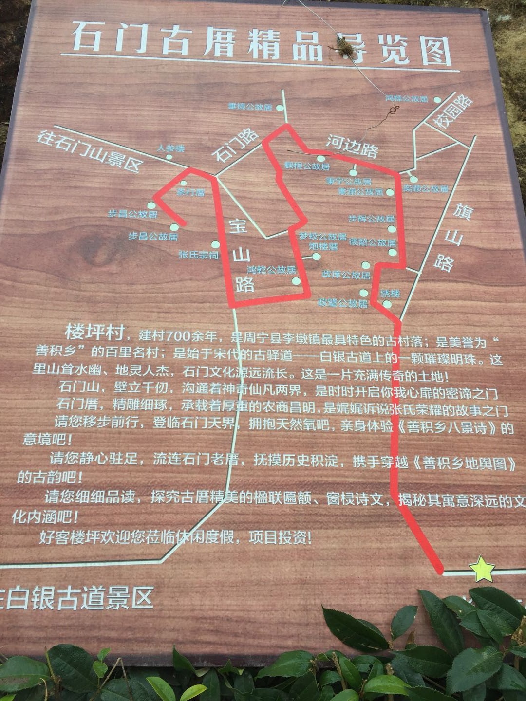 福建闽东特色乡村振兴之路图片,走出一条闽东特色的乡村振兴之路