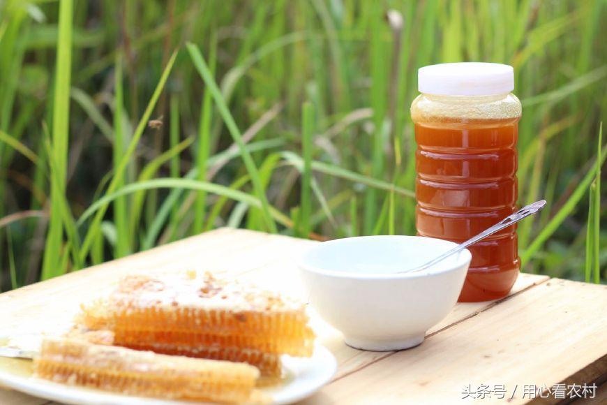 教你一招辨别蜂蜜方法,分辨蜂蜜的最佳方法到底哪种靠谱