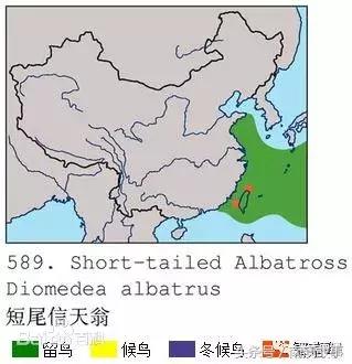 这座小岛究竟隐藏了多少秘密,一座鲜为人知的隐藏小岛