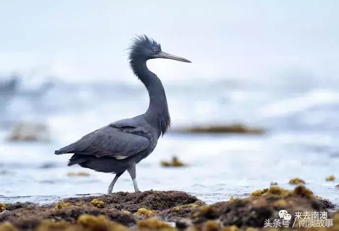 这座小岛究竟隐藏了多少秘密,一座鲜为人知的隐藏小岛