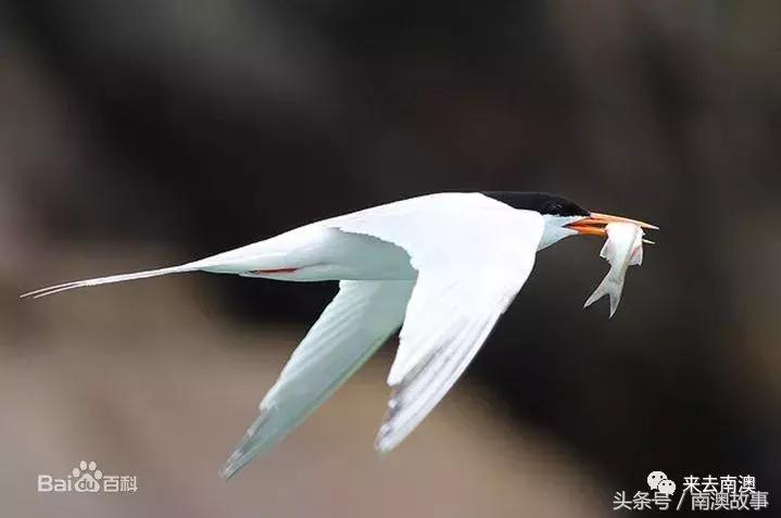 这座小岛究竟隐藏了多少秘密,一座鲜为人知的隐藏小岛