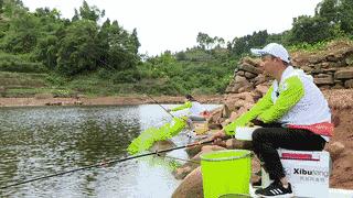 白条闹窝严重这4个方法你用过没,白条在底下闹窝最快解决方法