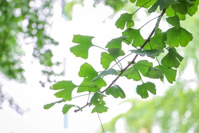 宽窄巷子旁边的物美价廉的巷子,宽窄巷子周边特色小街