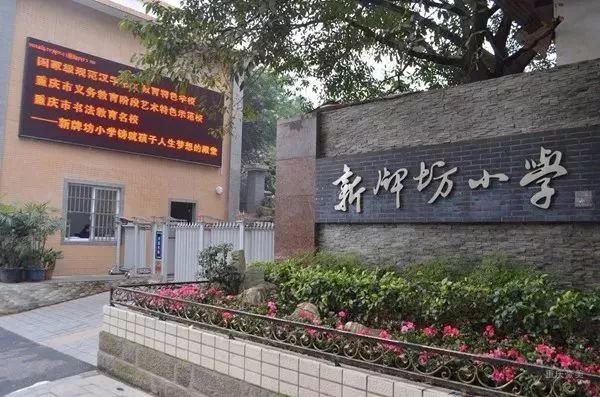 重庆渝中区求精中学对口小学,重庆实验外国语学校对口小学