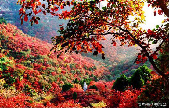 广州石门国家森林公园景点,广州山谷好玩的地方