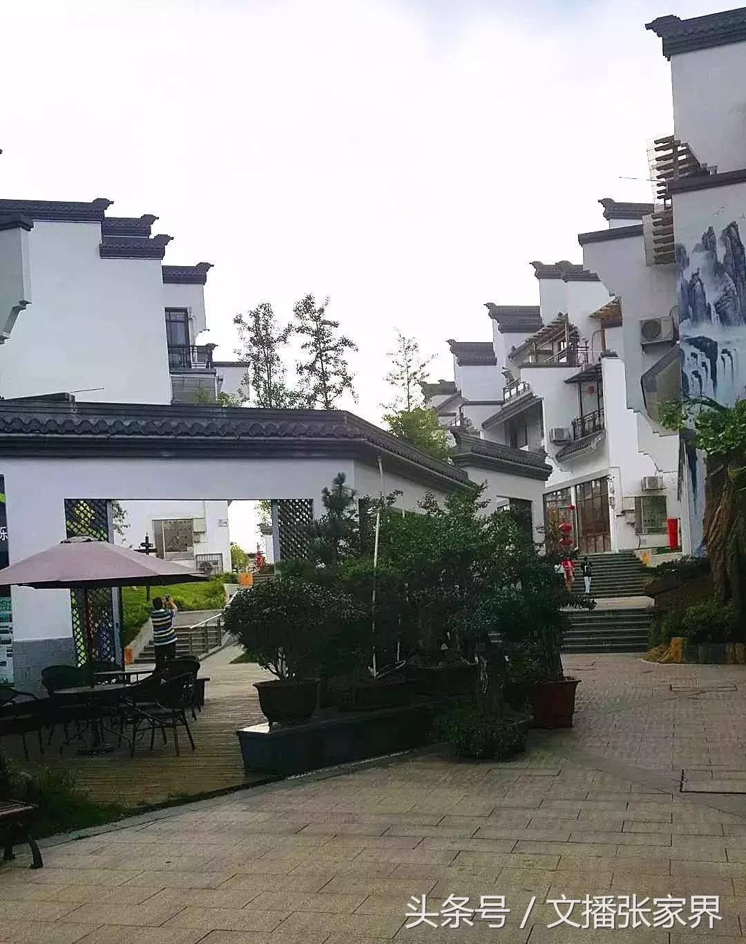 浔龙河半天游,浔龙河三期规划