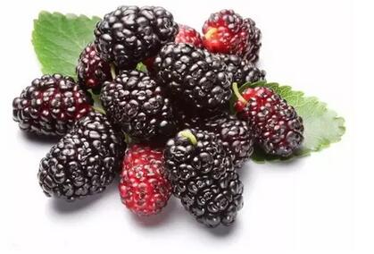 这种树只有南方才有全身都是宝,这种树被誉为抗癌神树