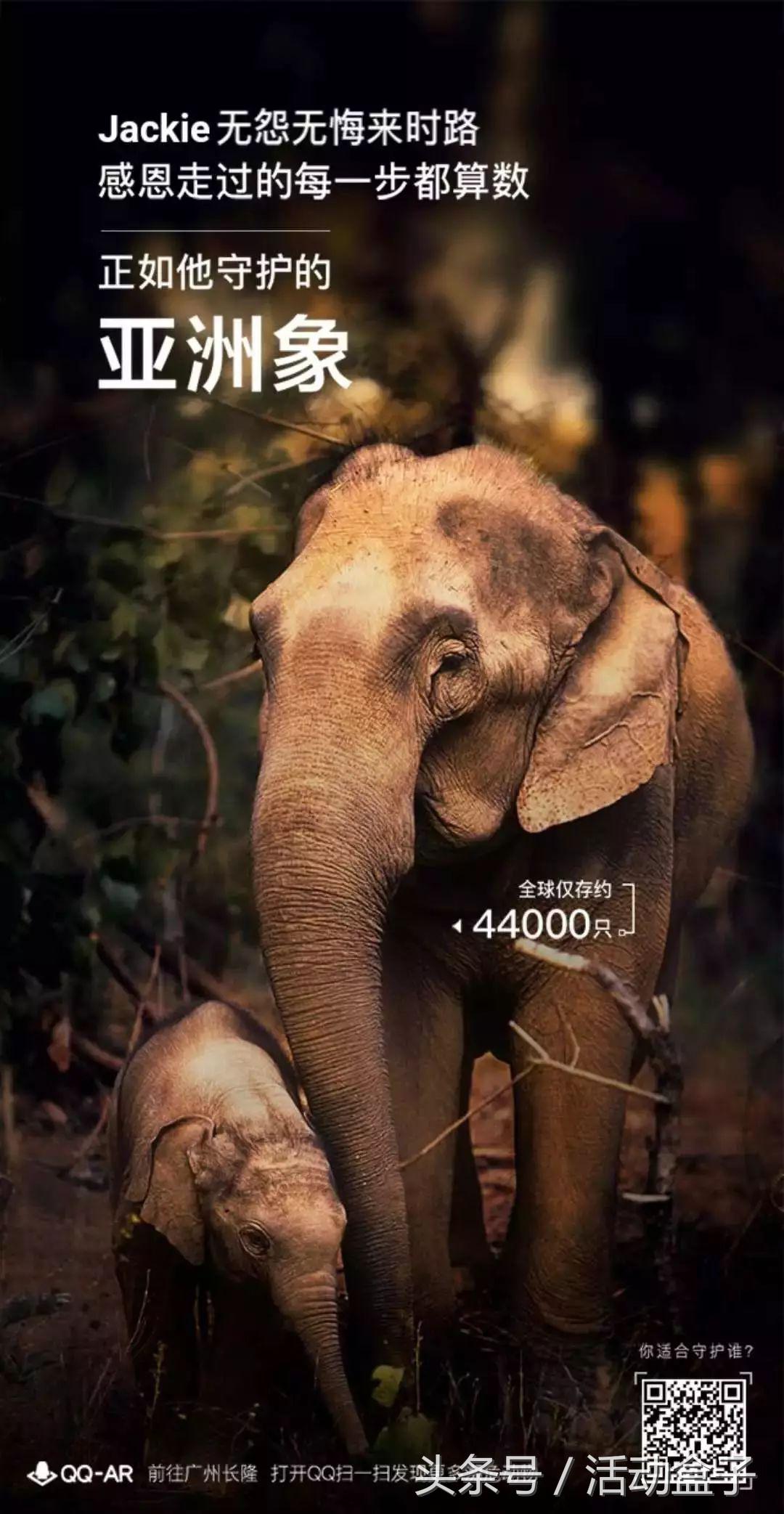 裂变增长100种玩法,裂变引流策略