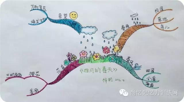画一张图画出三年级数学思维导图,画一张思维导图小学三年级