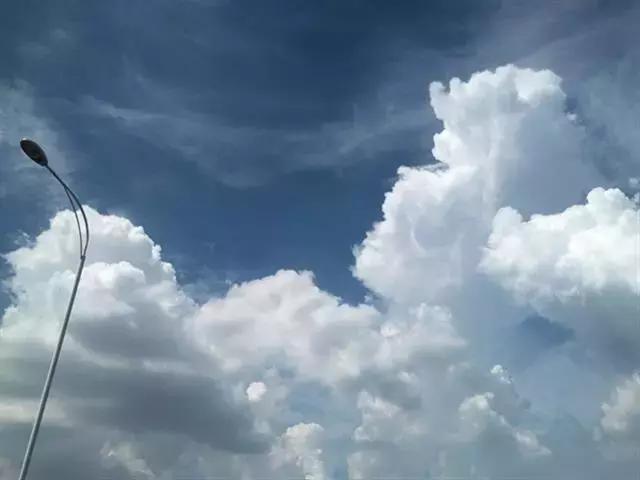 今日入伏三伏天要养生更要避病,明日入伏收好这份三伏天养生指南