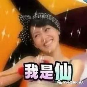 小s评价流星花园,流星花园小s大s