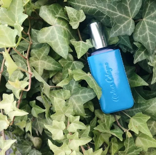 翻箱收纳,我的收纳箱旅游日记