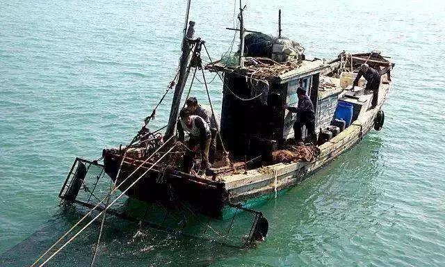 武汉餐馆里的天价江鱼，都是从这里来的！都市渔夫最真实的一天