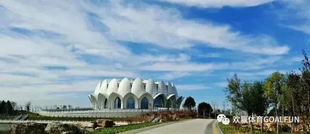 2024沙滩足球世界杯决赛,世界杯欢乐海岸